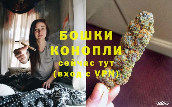 2c-b Богданович