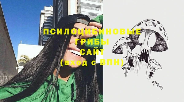 гашиш Богородицк