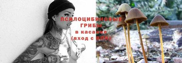 mix Белокуриха