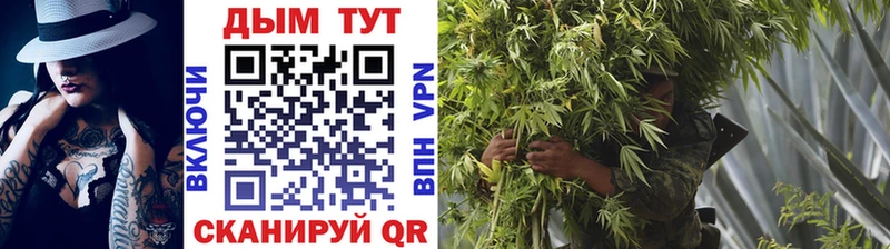 цена наркотик  Дубовка  Канабис тримм 